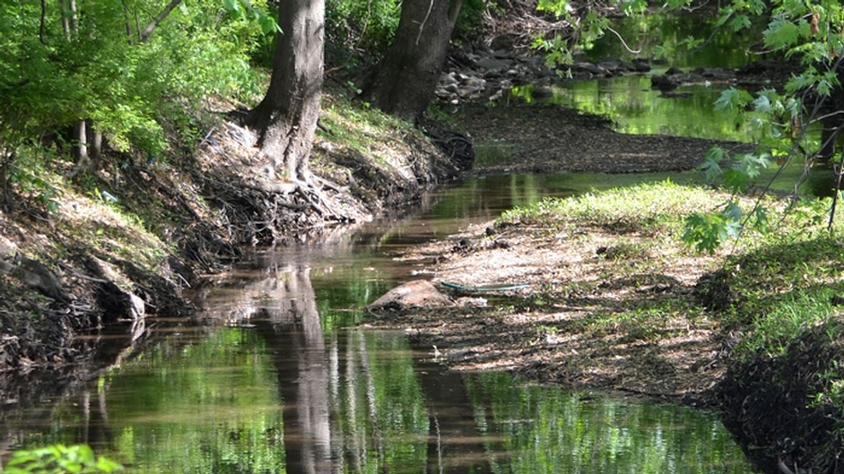 Ramanessin Brook Watershed Restoration