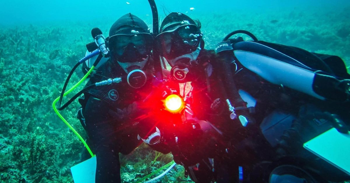Environmental Impact Assessment Dive Survey, southern Great Barrier Reef, Queensland, Australia.