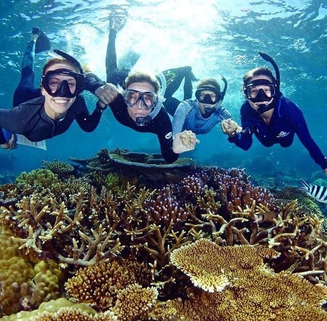 Coral surveys, Great Barrier Reef, Cairns, Queensland.