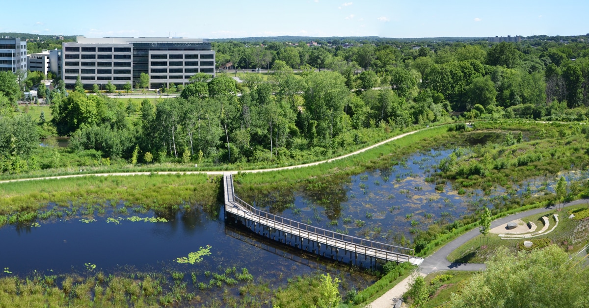 stormwater wetland aerial view with pedestrian bridge and vegetation