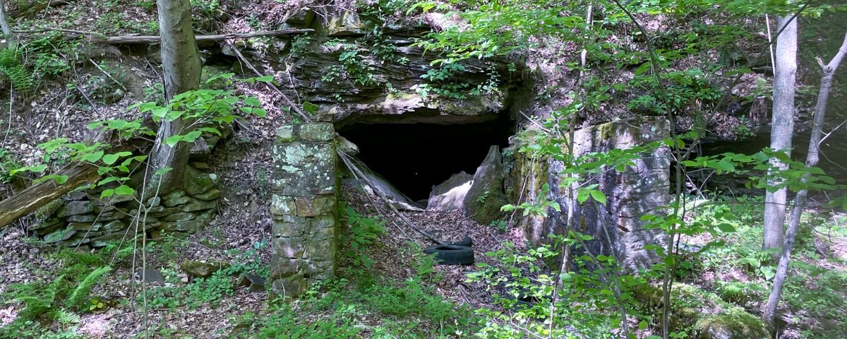 Roundtop abandoned mine land portal hole with trees and leaves