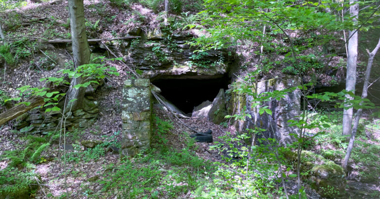 Roundtop abandoned mine land portal hole with trees and leaves