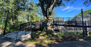 Carlton Street Footbridge Restoration in Brookline Massachusetts