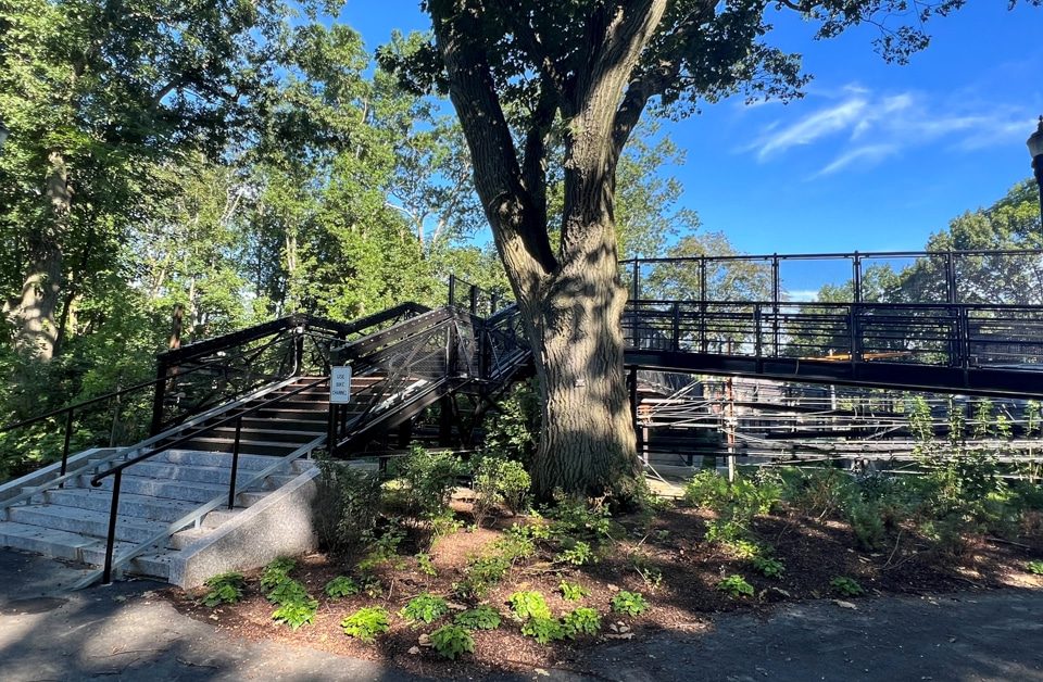 Carlton Street Footbridge Restoration in Brookline Massachusetts