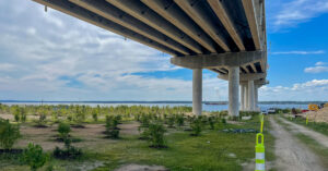 Nice-Middleton Bridge from ground with blue sky