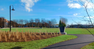 Piers Park 2 grounds