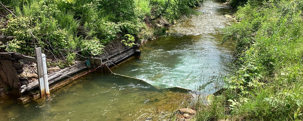Weirs creek water with trees