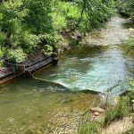 Weirs creek water with trees