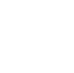 professional-services-icon professional services icon
