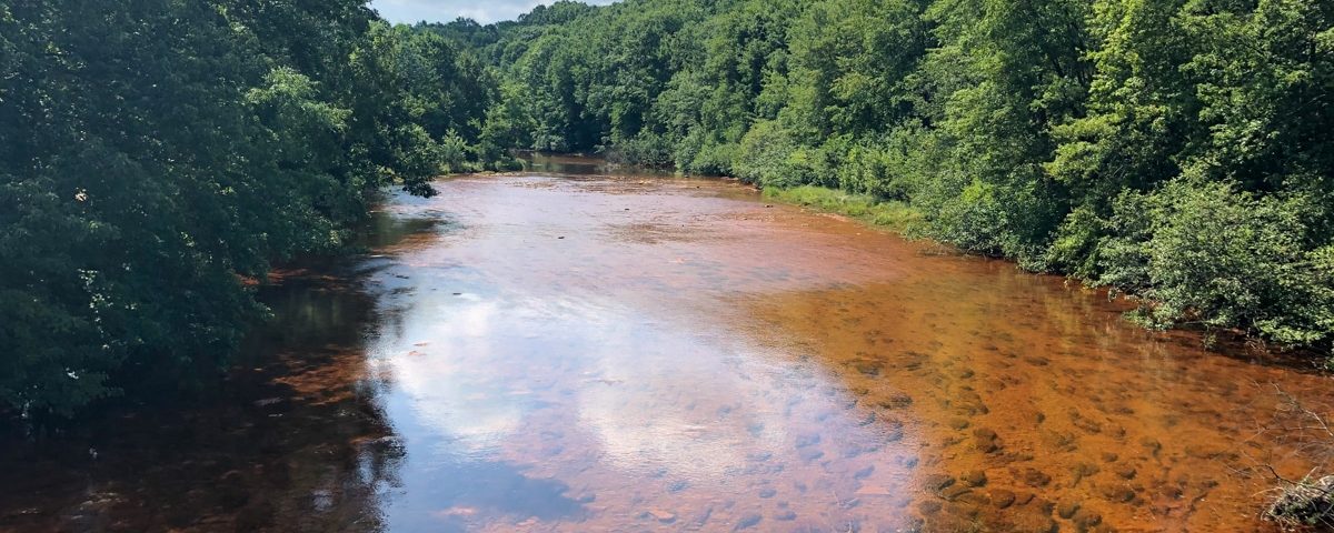 Browns Run with stream and trees