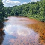 Browns Run with stream and trees