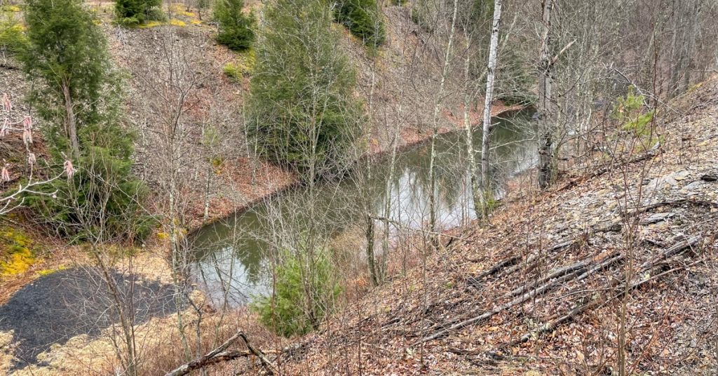 Browns-Run-AML-Design-Web-3