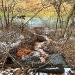 Shinnston drainage with pipes and affected water leading to stream
