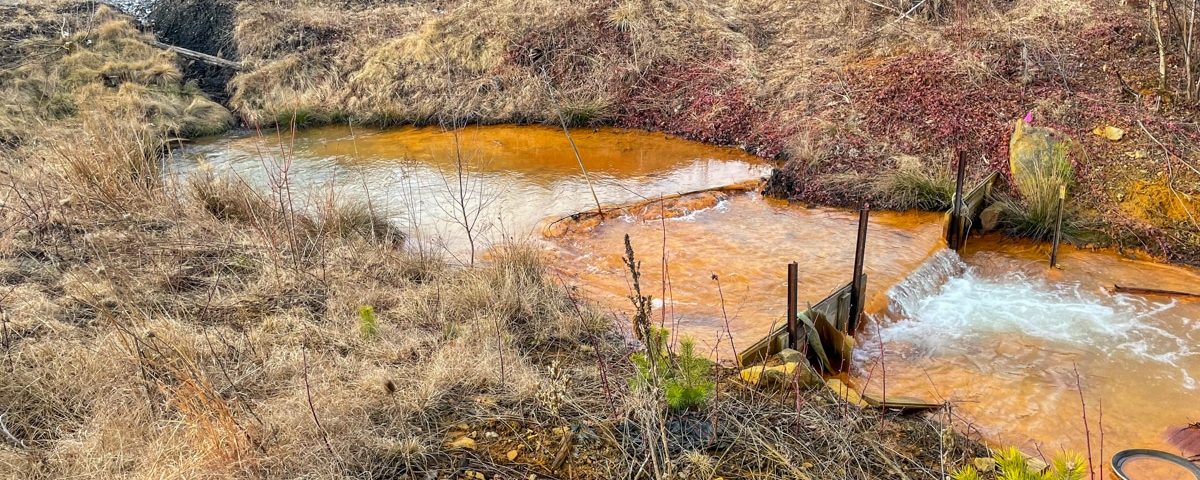 Big Five Shade Creek Reitz 4 small creek with contaminated water