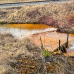 Big Five Shade Creek Reitz 4 small creek with contaminated water
