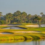 Palm trees on Lake Vedra. Ponte Vedra Beach, Florida