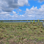 Kleinfelder's Tampa, FL environmental staff conducting fieldwork.