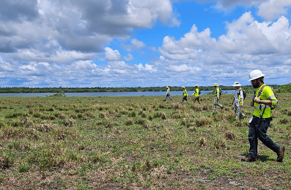 Kleinfelder's Tampa, FL environmental staff conducting fieldwork.