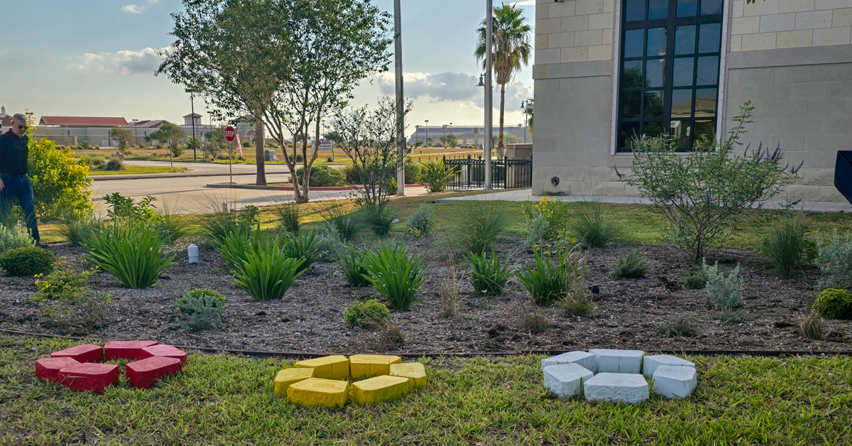 Keach Family Library rain garden with plants and stone art