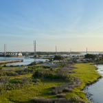 Marsh at Topsail Island, NC