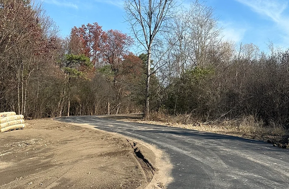 Photo of paved road and trees (Chessie Circle in Wood County, Ohio)