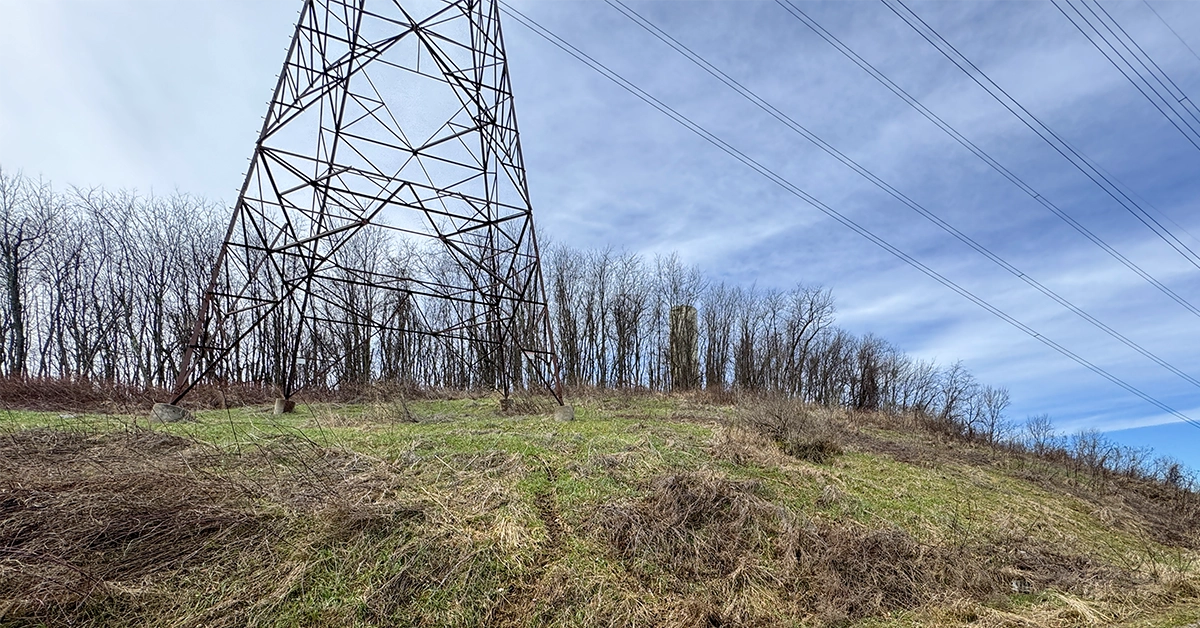 power-mkt-slider2 power transmission structure on hillside with trees