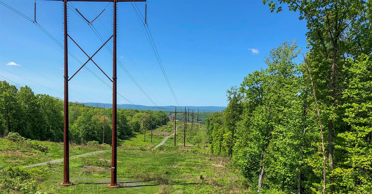 power-mkt-slider3 power transmission lines in lush, green valley