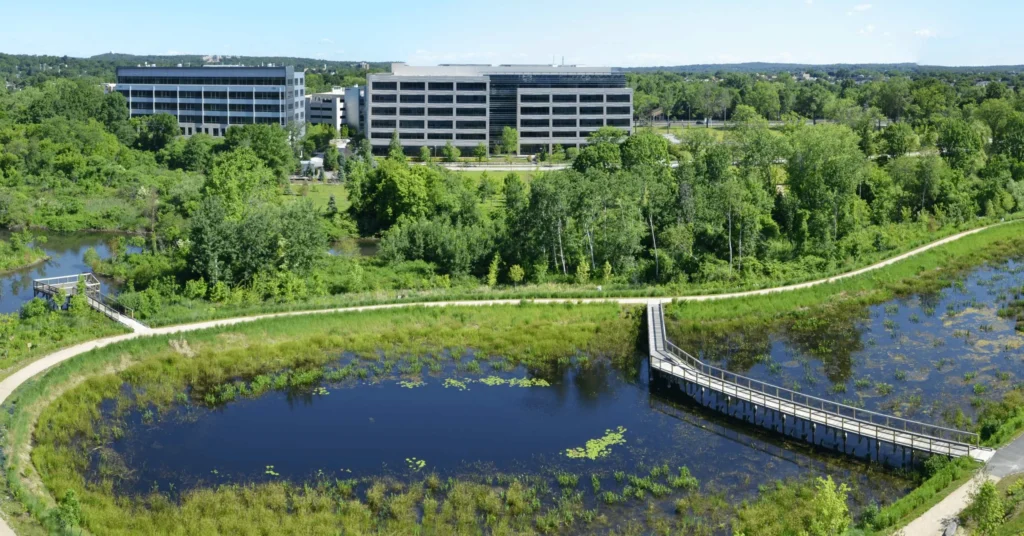Alewife-Stormwater-Wetland_2245-resize1